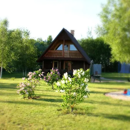 Augsdzintari Holiday home