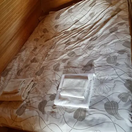 Augsdzintari Holiday home